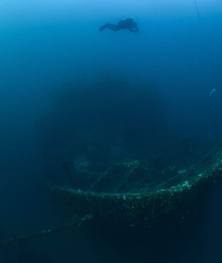 dive