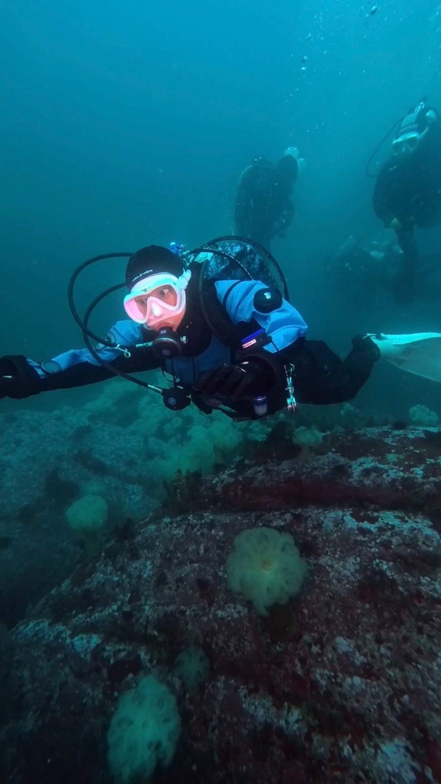 dive