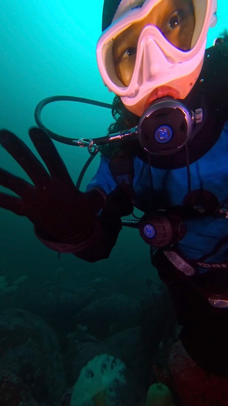 dive