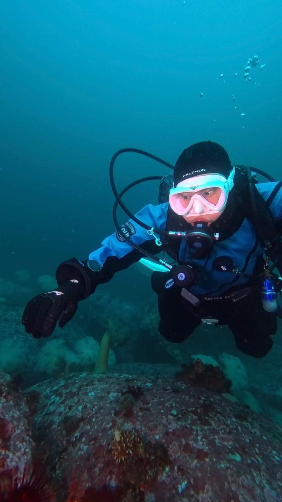 dive