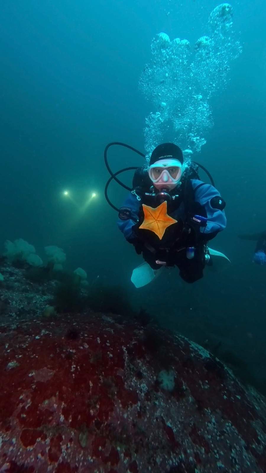 dive