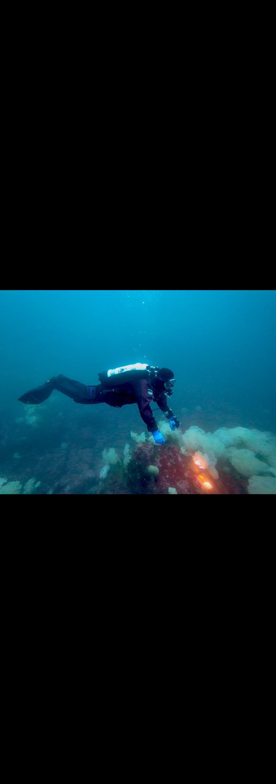 dive