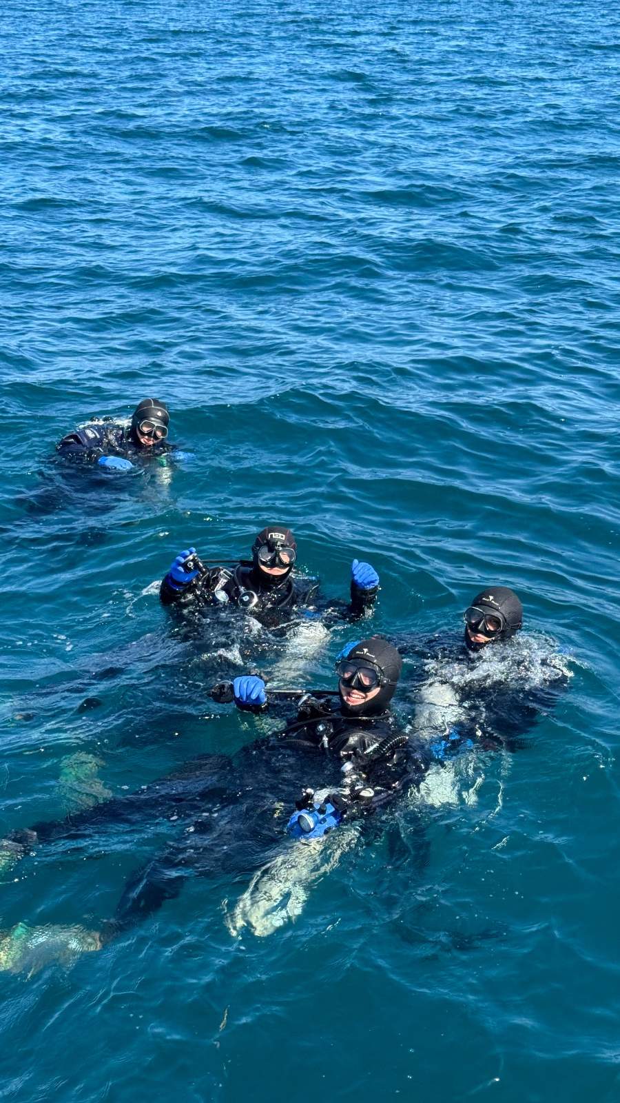 dive