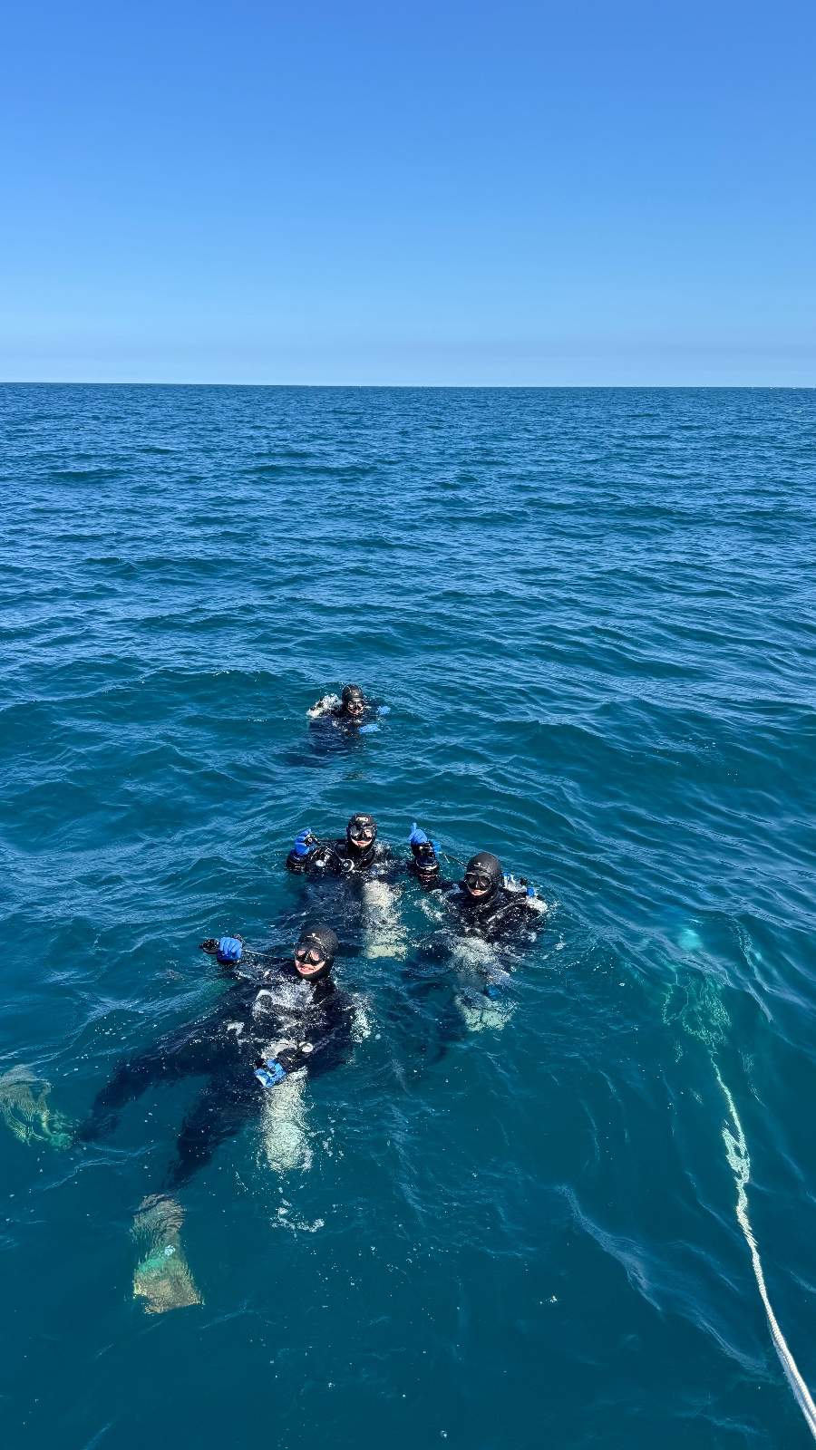 dive
