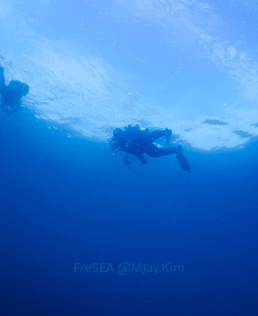 dive